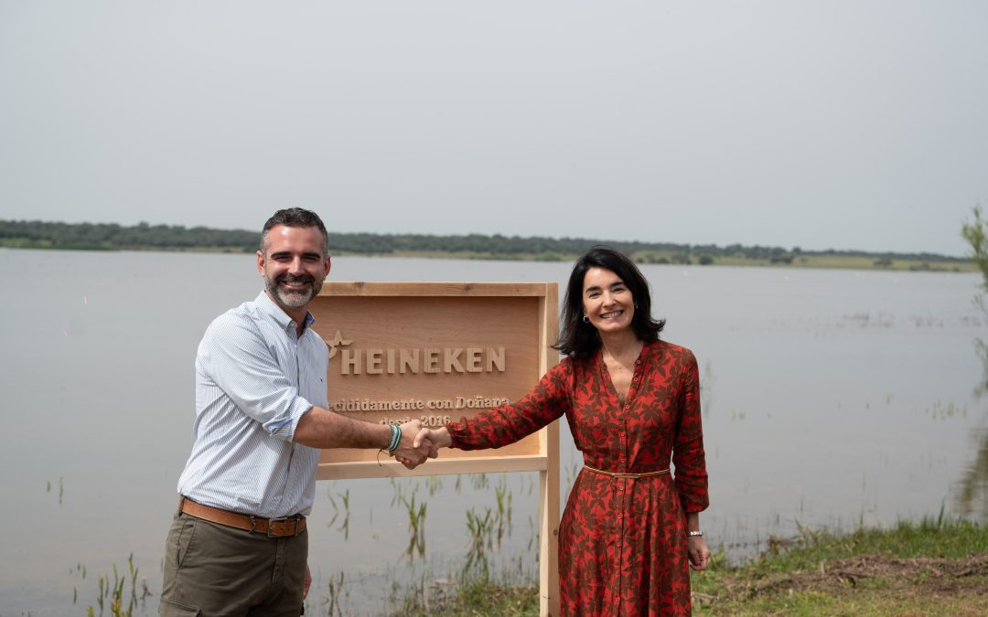 HEINEKEN y la Junta de Andalucía siguen protegiendo el agua de Doñana